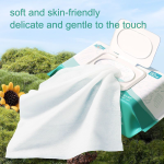 Wet Wipes Manufacturer - 80pcs Odorless