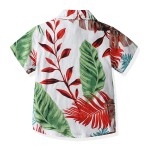 Summer Clothing Factory - Cotton Gentleman