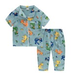 Boys Pajamas Supplier - Dinosaur Short Set