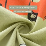 Boys Pajamas Supplier - Dinosaur Short Set