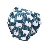 Newborn Diaper Supplier - Washable Reusable