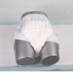 Adult Diapers Supplier - Disposable Type Pull up Factory Price