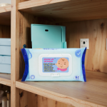 Wet Wipes Supplier - Advanced Premium Disposable Reusable