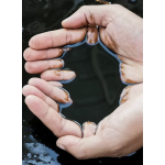 Naphtha Supplier - Light/Heavy Petroleum Naphtha Bulk Supply