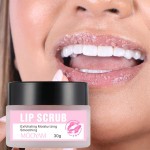 Lip Scrub Manufacturer - OEM Himalayan Pink Salt Organic Lip Care