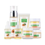 Acne Set Factory - OEM Organic Turmeric Face Care Skin Care Set