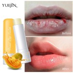Lip Balm Factory - OEM Baby Lips Coconut Oil Lightening Therapy