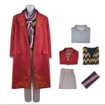 Polka Dot Dress Supplier - OEM Princess Party Costume