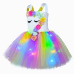 Princess Mesh Dress Factory - OEM Piano Performance Costume