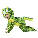 Dinosaur Costume Supplier - OEM Kids Halloween Cosplay