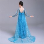 Elsa Anna Costume Supplier - OEM Princess Fashion Dress