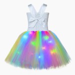 Princess Mesh Dress Factory - OEM Piano Performance Costume