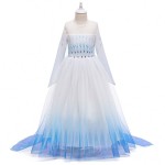 Elsa Dress with Train Factory - OEM Beading Long Sleeve Costume