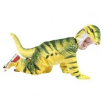 Dinosaur Costume Supplier - OEM Kids Halloween Cosplay