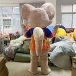 Cartoon Mascot Costume Supplier - OEM Party Cosplay Suit