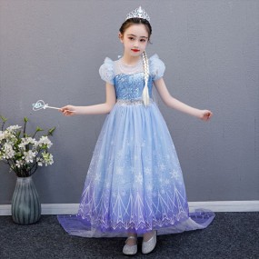 Snow Queen Costume Supplier - OEM Adult Elsa Dress