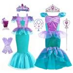Princess Elsa Costume Supplier - OEM New Arrival Dress
