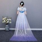Snow Queen Costume Supplier - OEM Adult Elsa Dress