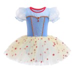 Ballet Princess Dress Manufacturer - OEM Kindergarten Performance