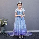 Snow Queen Costume Supplier - OEM Adult Elsa Dress