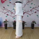 Arabic Mascot Costume Factory - OEM Custom Character Costumes