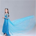 Elsa Anna Costume Supplier - OEM Princess Fashion Dress