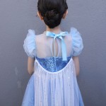 Snow Queen Costume Supplier - OEM Adult Elsa Dress