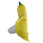 Inflatable Costume Supplier - OEM Banana Mascot Custom