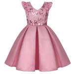 Sleeveless Princess Dress Supplier - OEM Bow Lace Birthday Dress