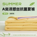 Summer Blanket Factory - 2024 New Design