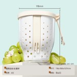 Picnic Cup Manufacturer - Leak Proof Salad Box