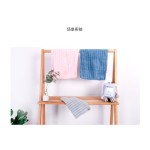 Antibacterial Towel Manufacturer - Silver Ion Microfiber