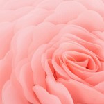 Floral Cushion Supplier - 3D Sheer Elegant