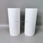 Kitchen Paper Towel Factory - OEM 2 Ply Jumbo Roll Wood Pulp