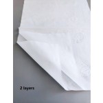 Jumbo Toilet Paper Supplier - Wholesale 2 Ply 300mm Cheap