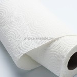 Kitchen Paper Towel Supplier - Wholesale 2 Ply White Virgin Pulp