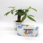Sanitary Pads Supplier - Wholesale Cotton Bamboo Sanitary