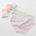 Plus Size Panty Manufacturer - Seamless High Elastic
