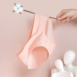 Women Briefs Supplier - Cotton Maternity Underwear