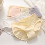 Maternity Underwear Supplier - Mid Waist Cotton