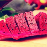 Pitaya Plants Factory - Dragon Fruit Seedlings