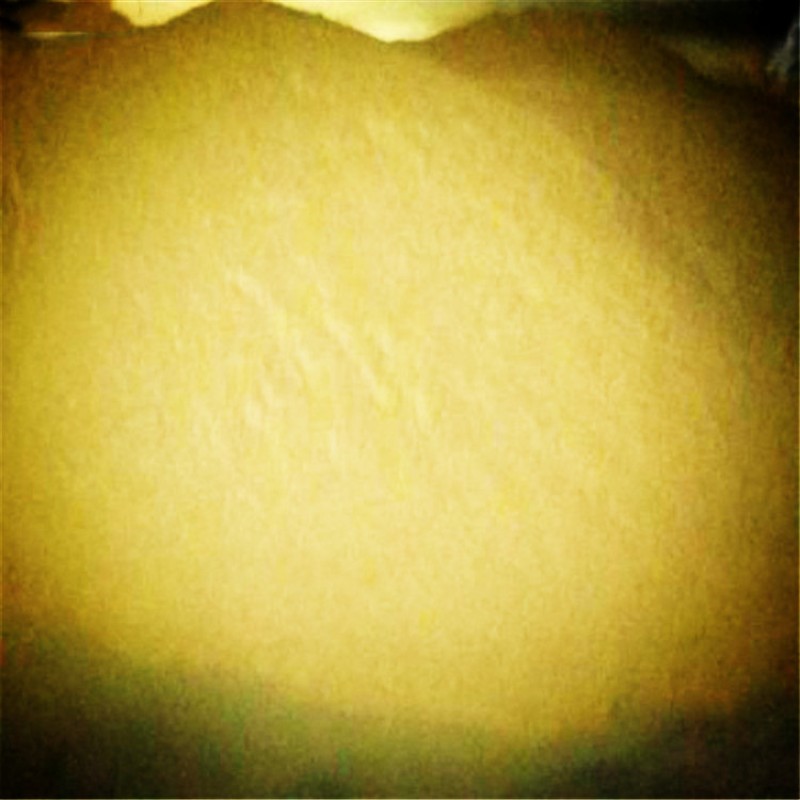 Hydroponic Fodder Factory - Soilless Animal Feed