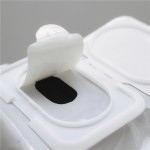 Oil Paper Supplier - Plant Extract Granules