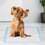 Pet Pad Manufacturer - Bamboo Charcoal Fiber