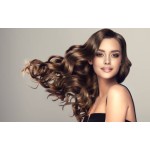 Toilet Seat Manufacturer - Comfortable Waterproof