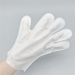 Pet Cleaning Glove Supplier - Disposable Bathing Brush