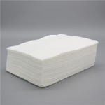 Spa Towel Supplier - Biodegradable Nonwoven