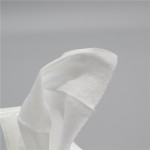 Toilet Tissue Supplier - Eco-friendly Flushable