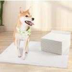 Potty Mat Factory - Charcoal Puppy Training