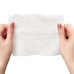 Brush Head Supplier - Disposable Multi-function